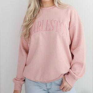 Dress Up Charleston Embroidered Pullover Sweater in Pink Blush Size Large